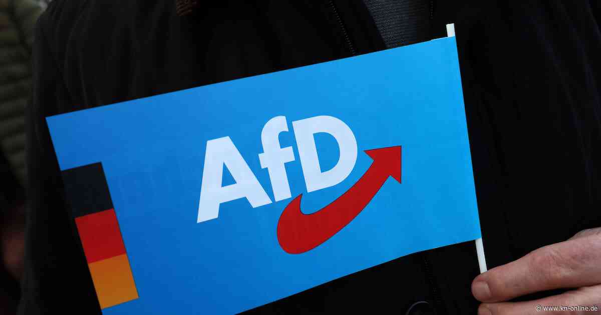 Der Verfassungsschutz hätte das AfD-Gutachten selbst veröffentlichen sollen