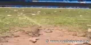 Van promotiefeest naar ravage: stadion van HSV is flink toegetakeld