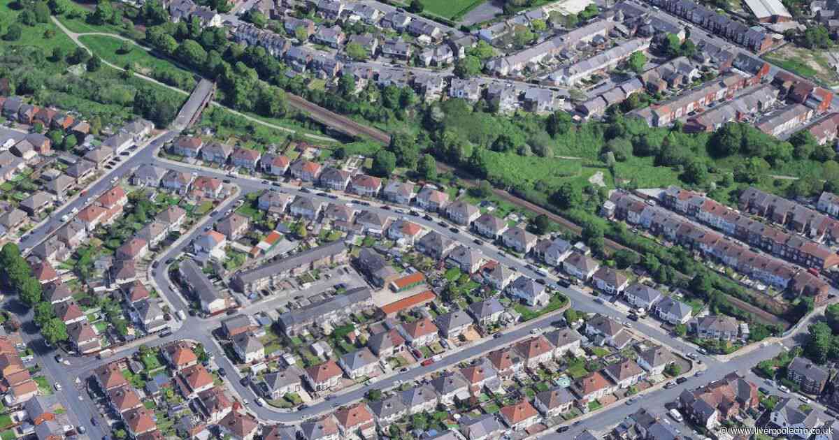 Armed police descend on road after gang storm house