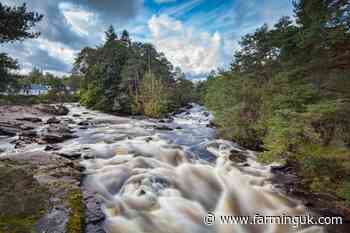 Ayrshire farm fined &#163;600 for environmental breach
