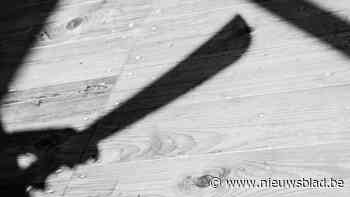 Twee jaar cel voor machete-aanval na discussie over 240 euro