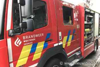Brandende vuilnisbak aan IJzertoren snel geblust