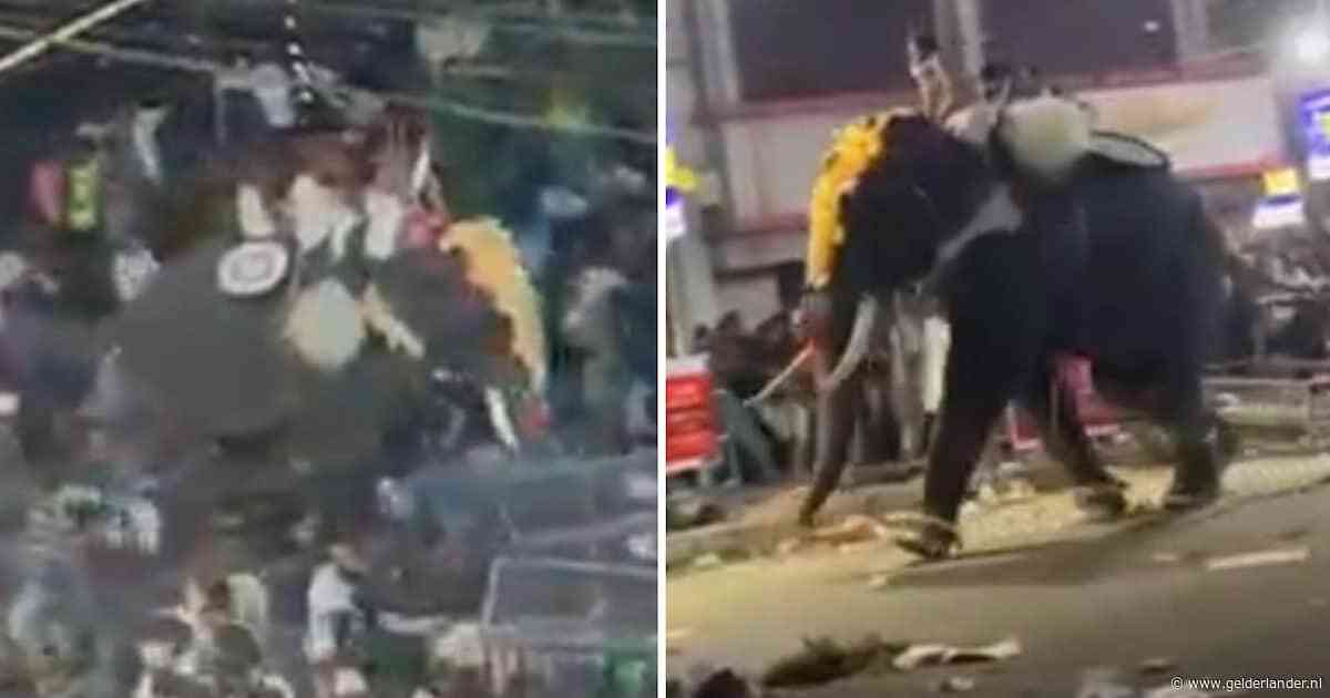 KIJK | Olifant slaat op hol tijdens parade en verwondt 42 mensen