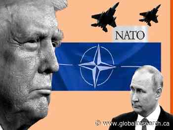 Trump Envoy Reveals NATO Troop Deployment Plans for Ukraine