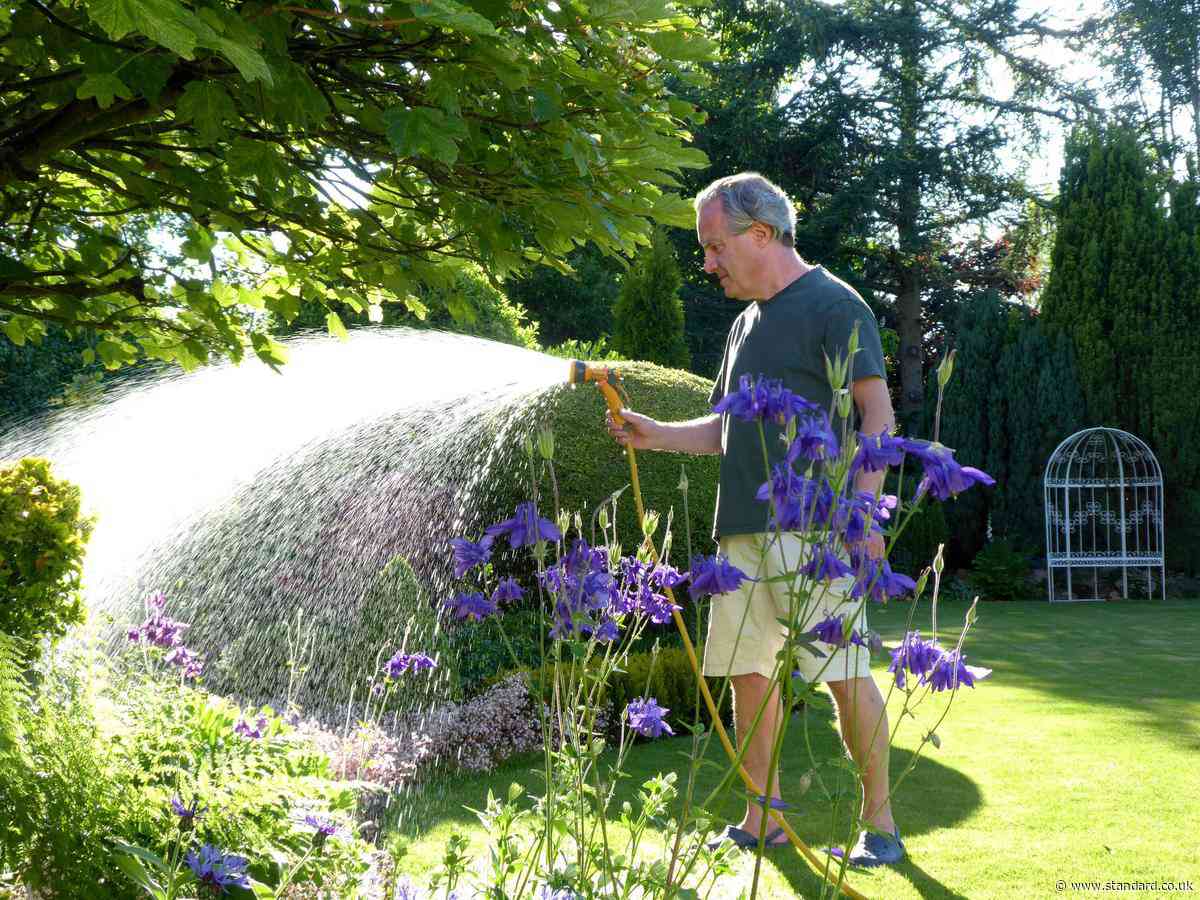 Thames Water boss issues water restrictions warning amid drought risk