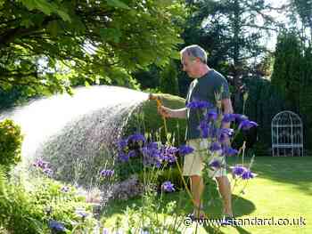 Thames Water boss issues water restrictions warning amid drought risk