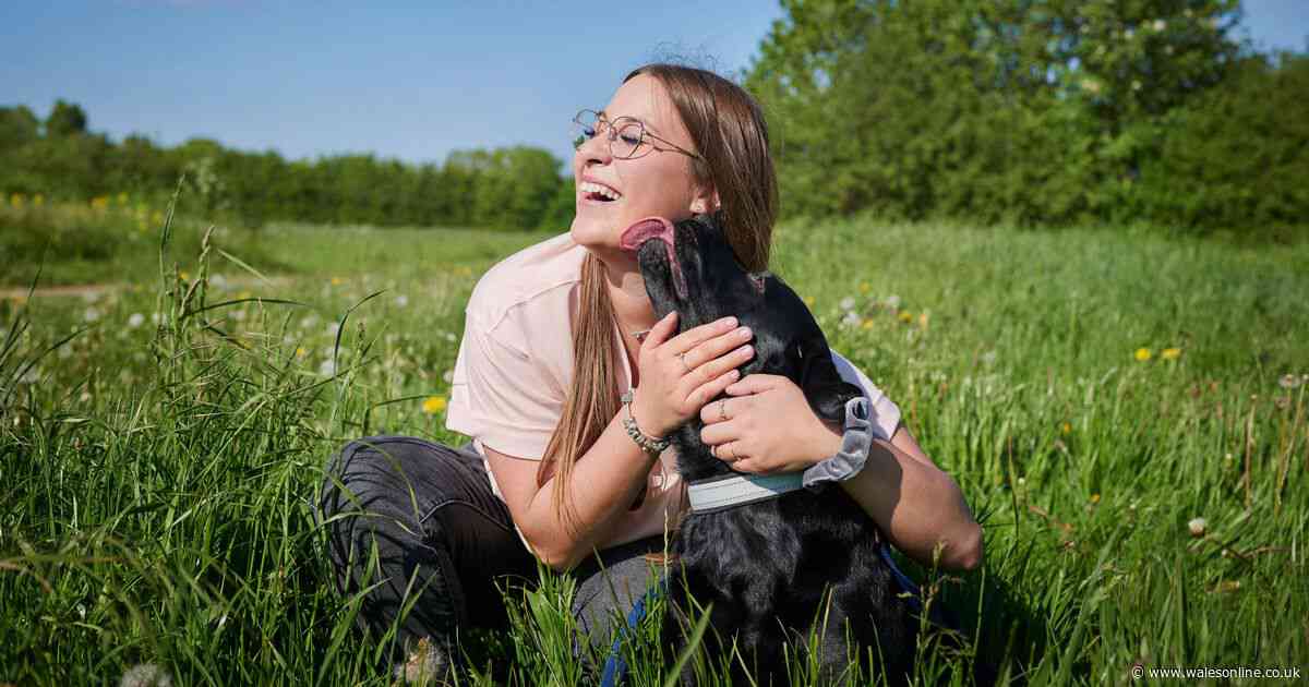 Vet reveals what it means when your dog licks your face, hands or feet