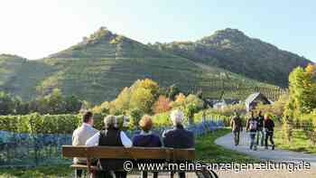 4 tolle Wanderungen in Rheinland-Pfalz, die mit Bus und Bahn erreichbar sind
