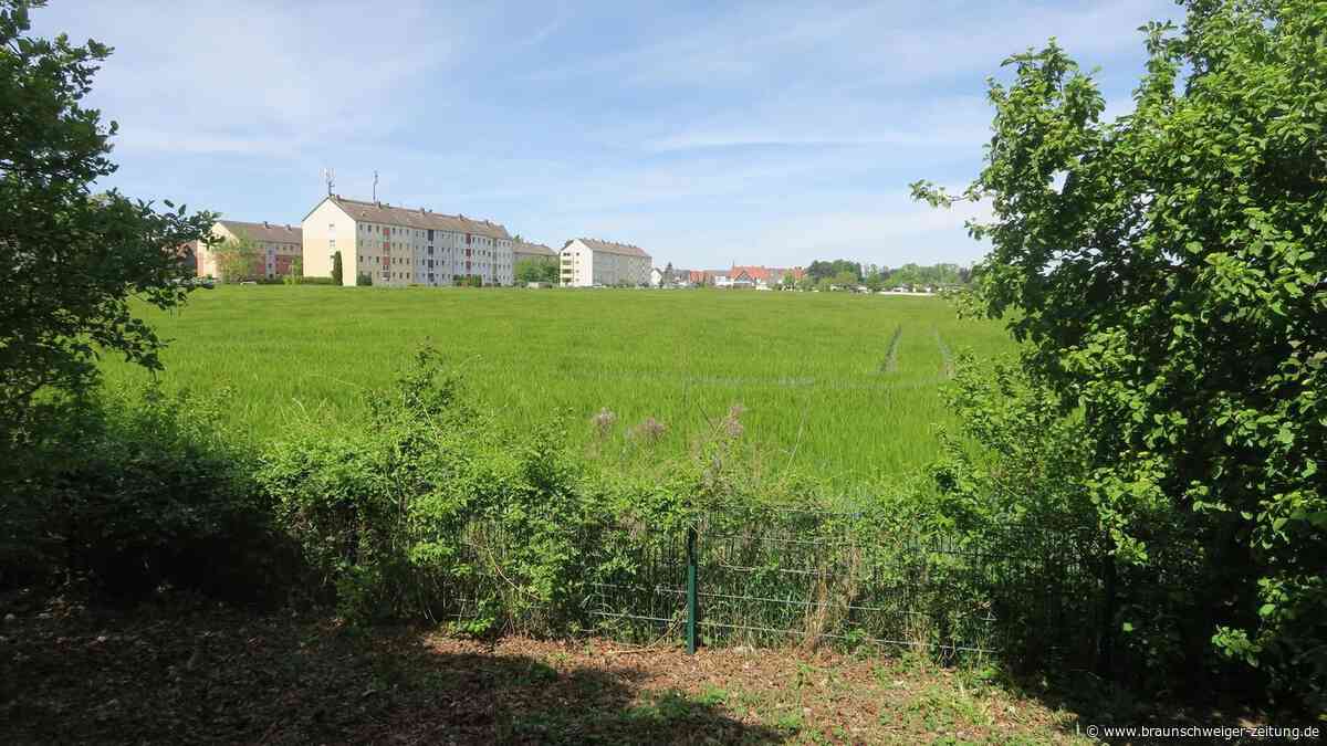 Wo in Wolfenbüttel das erste autofreie Neubaugebiet entstehen wird