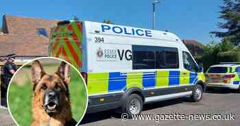 Remains of 37 dead dogs found by police during major raid at Essex home