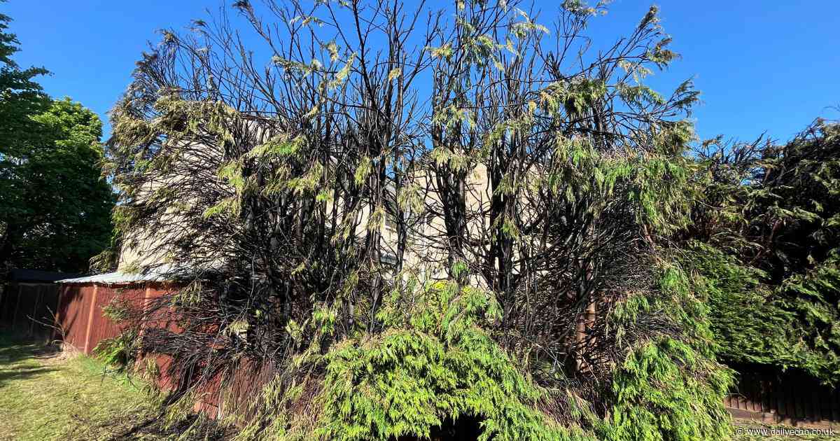 Mum forced to flee home with young son as ‘huge’ fire engulfed garden