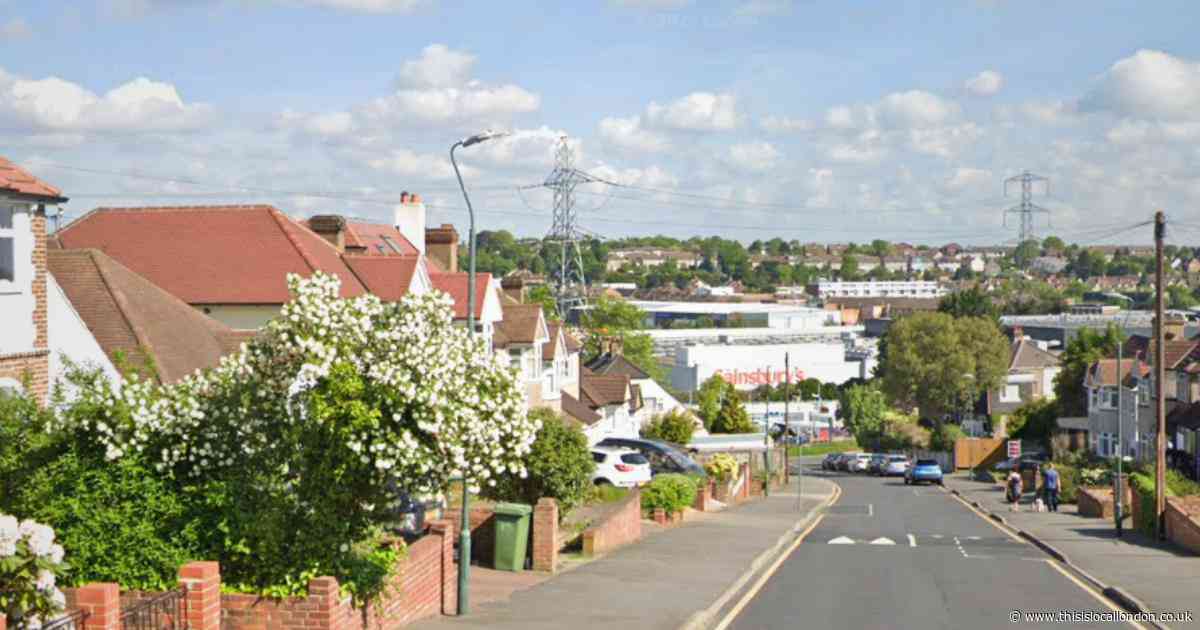 Man and boy arrested after pair found ‘hiding’ in Crayford garden