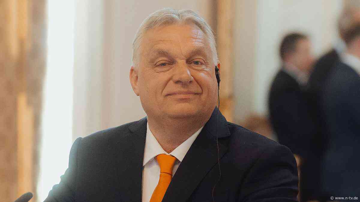 "Putinisierung" Ungarns: Orban-Regierung will schwarze Liste für NGOs einführen
