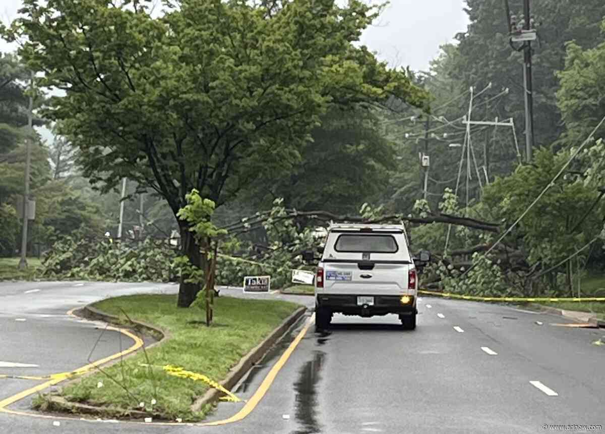 Downed trees knock out power, block traffic in parts of Arlington
