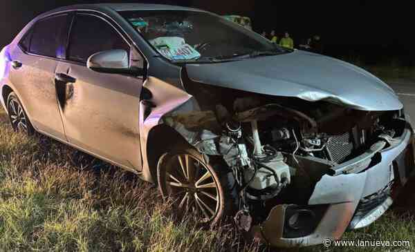 Un auto chocó un jabalí en la ruta 3 y su conductor salió ileso