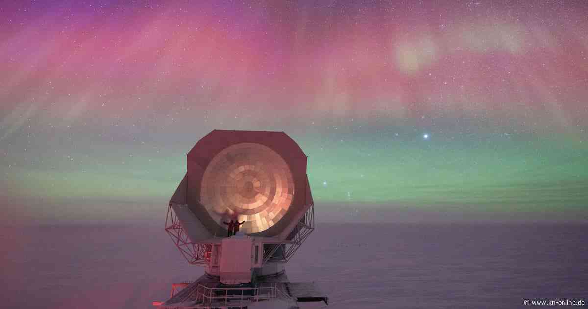 „Nature“-Fotowettbewerb: Spektakuläre Bilder von Polarlichtern und Walen