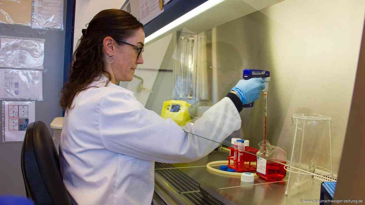 Forscher aus Braunschweig bekämpfen Infektionen mit Mäuseviren