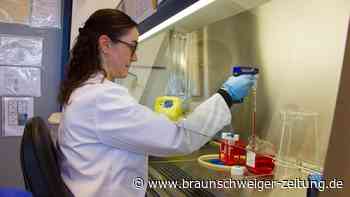 Forscher aus Braunschweig bekämpfen Infektionen mit Mäuseviren