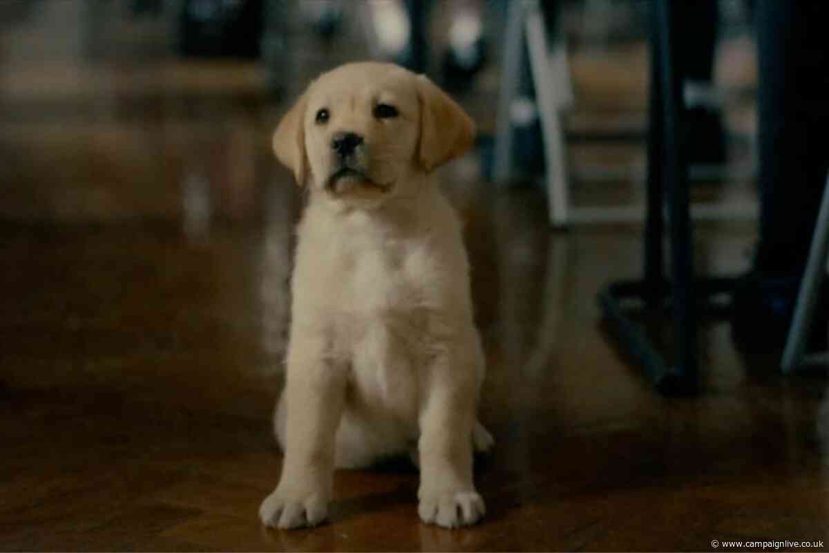 Andrex ad encourages kids to 'poo poo' school toilet embarrassment