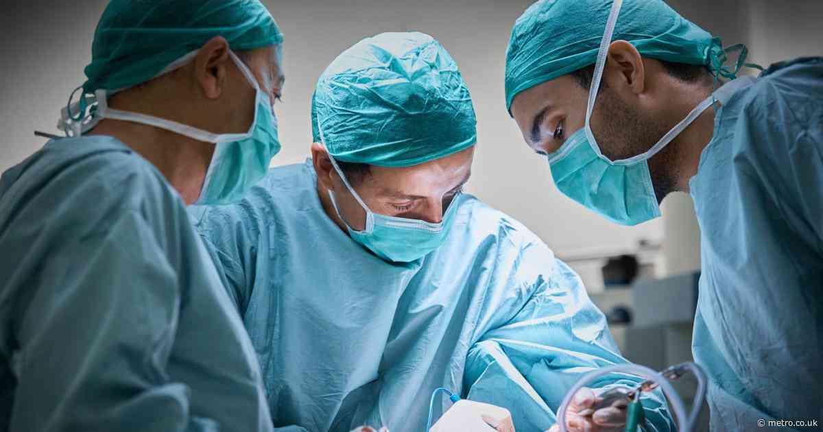 Plastic surgeons share the common cosmetic procedure they’d never get