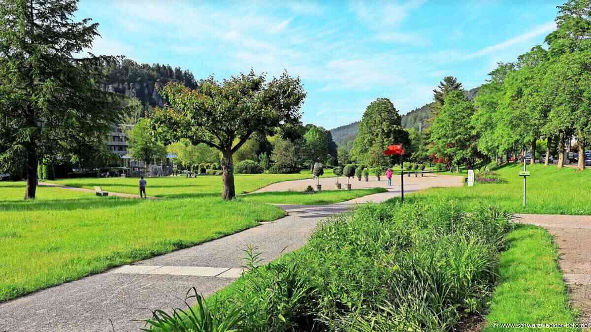 Sondersitzung in Bad Herrenalb: Krokodilfarm auf Schweizer Wiese?