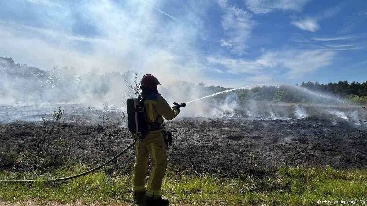 Brandweer rukt groots uit voor natuurbrand op Oirschotse Heide