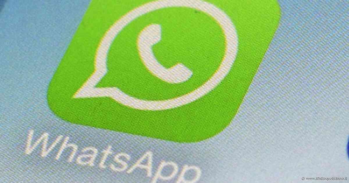 Spopolano i videomessaggi istantanei su WhatsApp: ecco come funzionano e perché sono così diffusi tra gli utenti