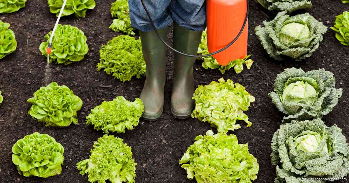 Pesticide levels in food ‘not dangerous’ to humans
