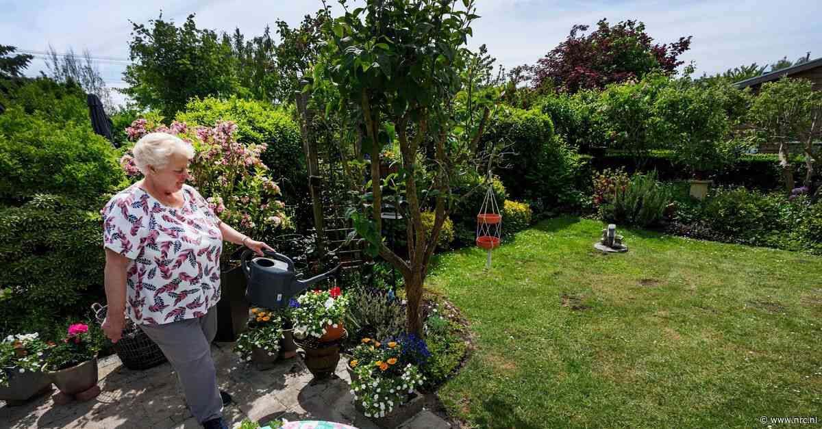 Het is erg droog. Deze hydroloog tipt: gebruik slootwater voor je tuin en sproei ’s avonds pas