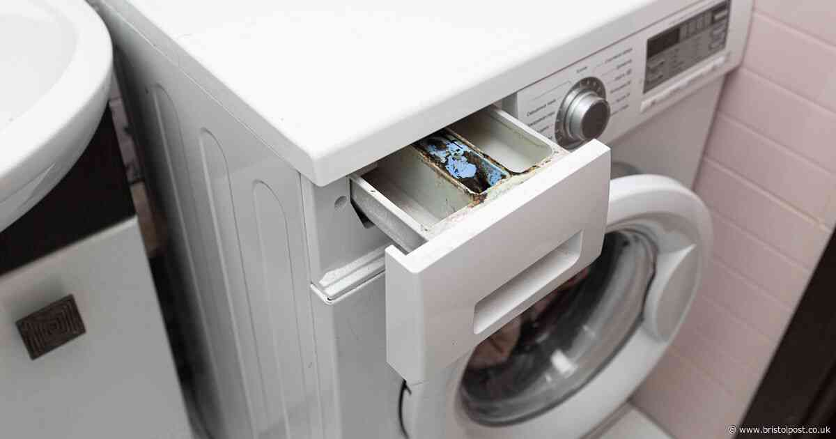 One simple action after doing laundry can prevent washing machine mould