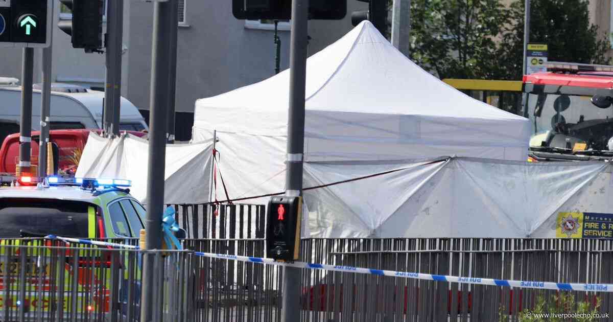 Woman arrested as man, 34, killed in crash is named by police