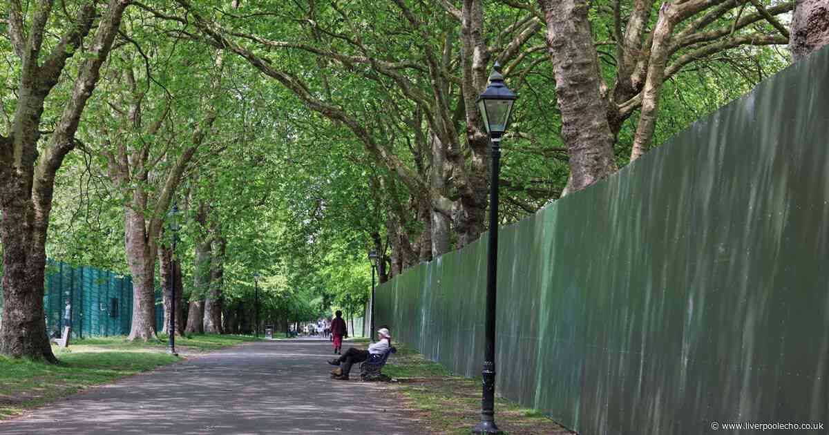 Not using Sefton Park 'could have lost Liverpool BBC Big Weekend'