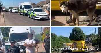 Pictures show moment police arrest suspect at home where 37 dead dogs found