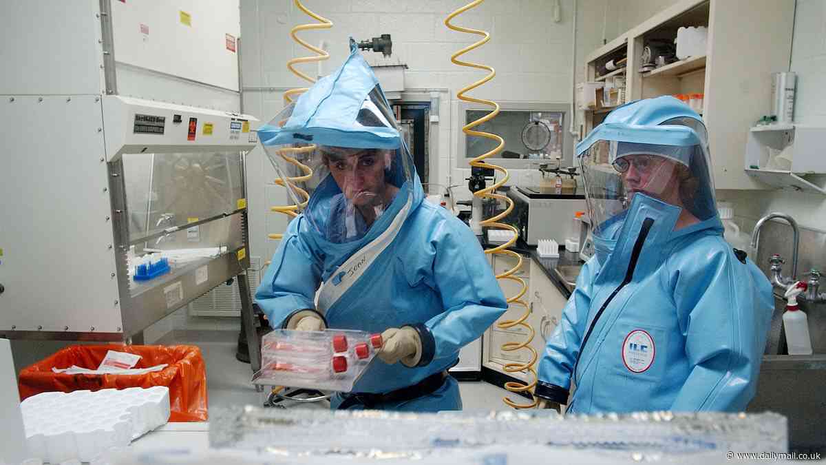 US lab handling world's deadliest diseases is shut down after 'lover's spat' led to spiteful act
