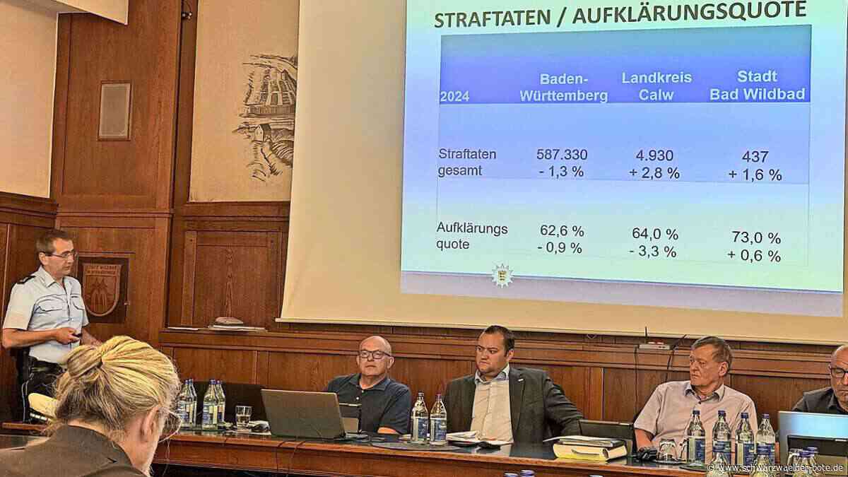 Kriminalität in Bad Wildbad: Betrug und häusliche Gewalt nimmt stetig zu