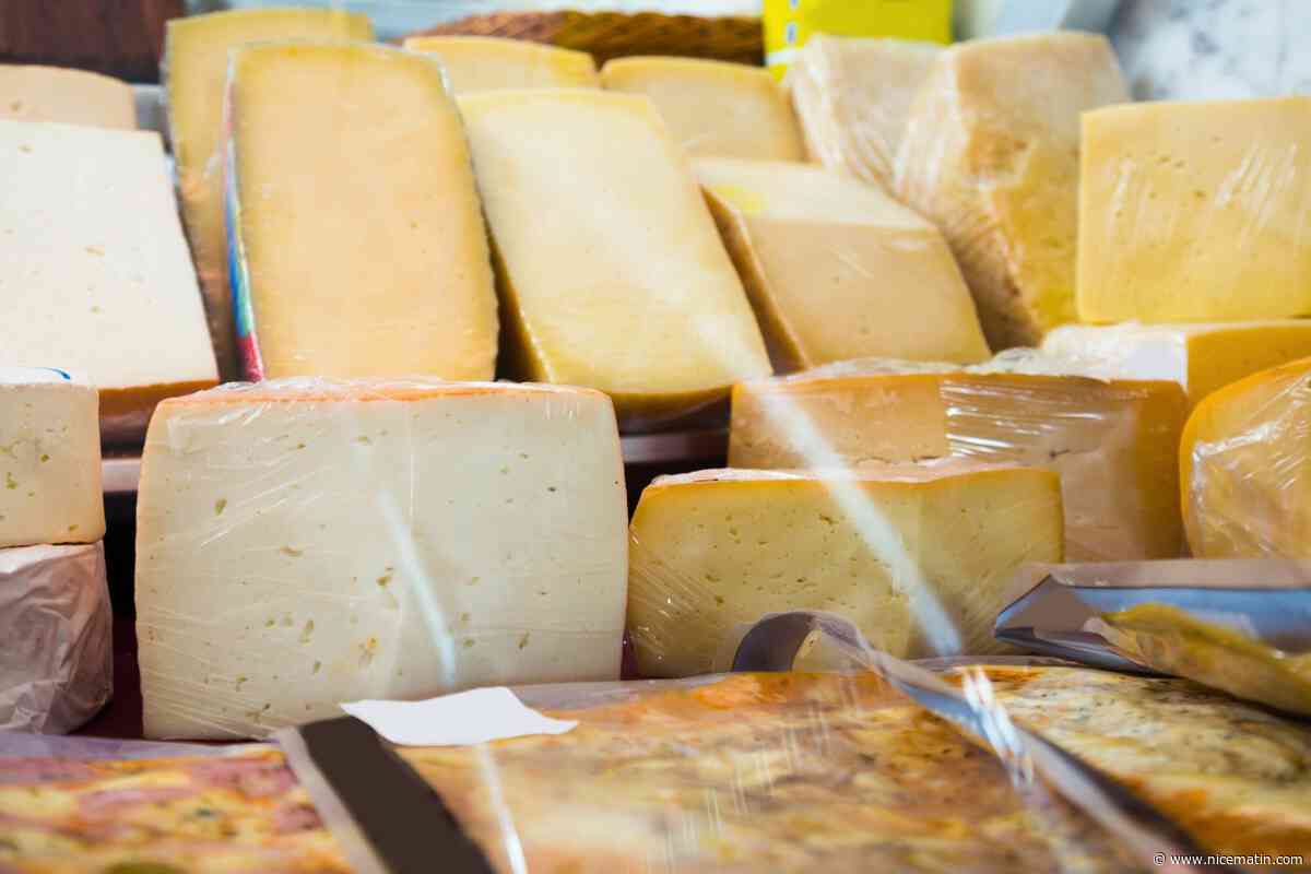 De la tomme de montagne rappelée dans toute la France en raison de présence de listeria