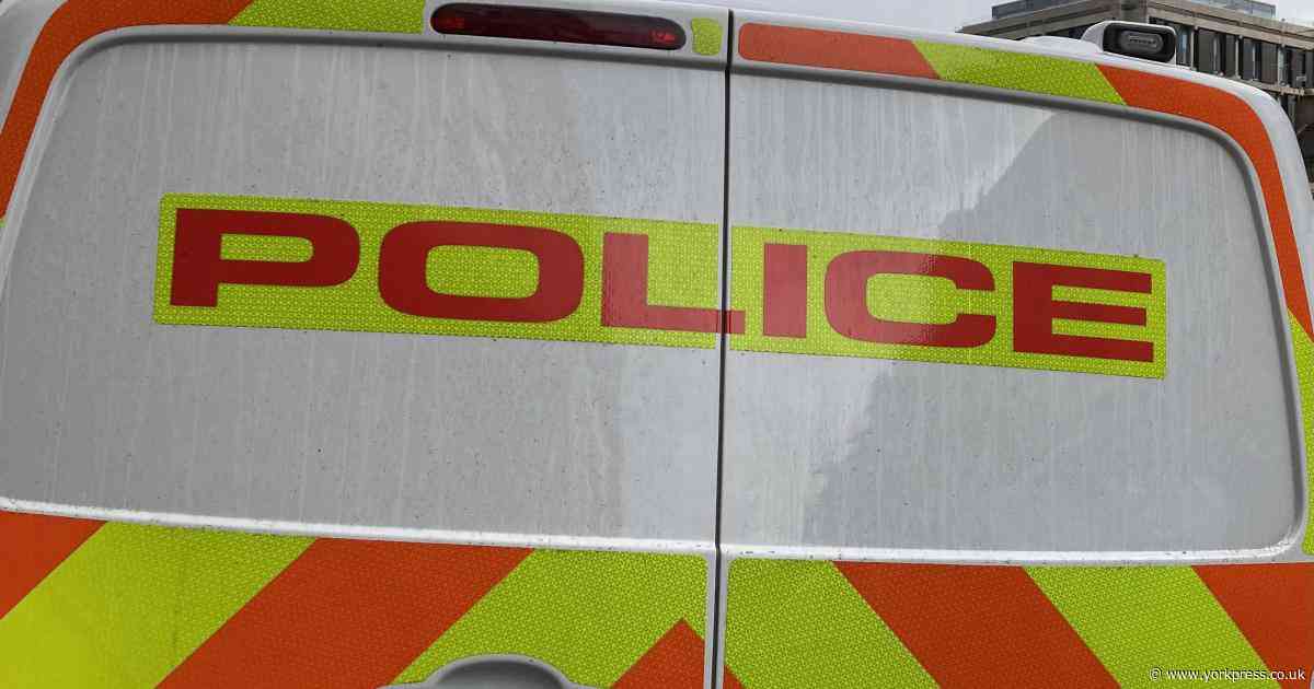 Man on mobility scooter reportedly behaves abusively to family in York suburb