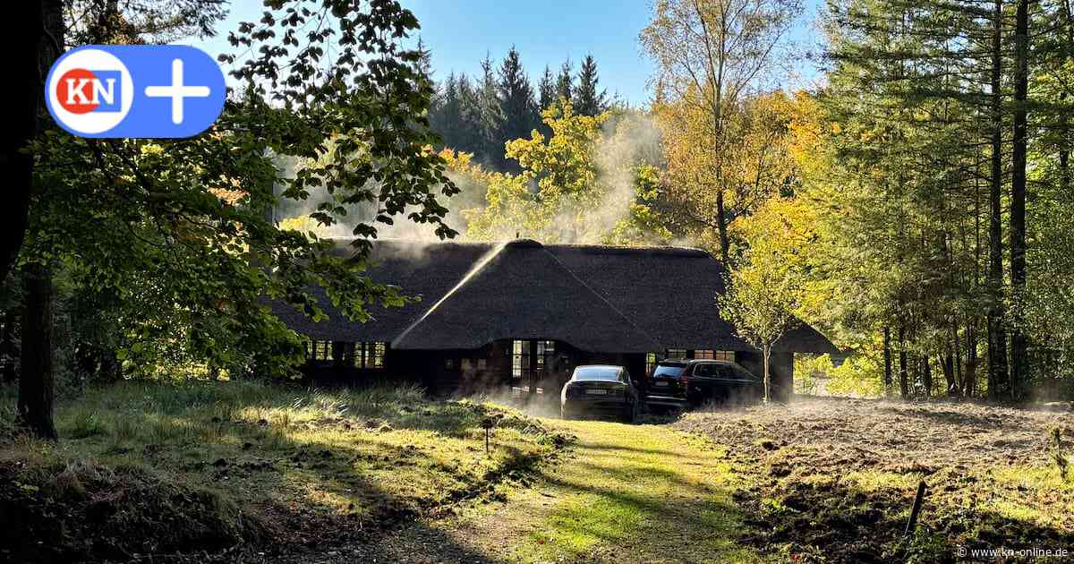 Schleswig-Holstein: Sachsenwald abzugeben, SPD will Bismarck verklagen