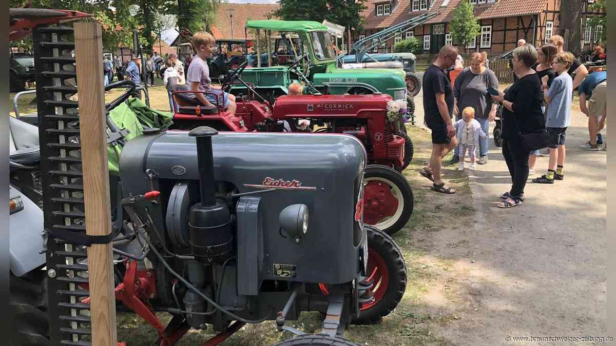 Museumstag: Sonderausstellungen und Workshops in Gifhorns Museen