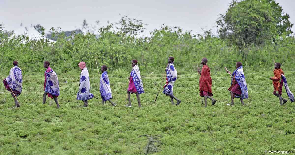 Techreuzen Meta en Netflix verliezen strijd van Masai en moeten klimaatprojecten staken: ’Ze omheinen ons voorouderlijke land’