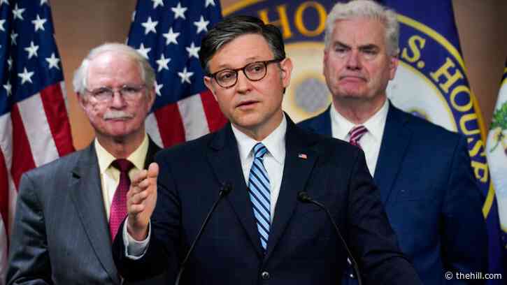 Republicans weigh repercussions for Democrats who got in scuffle with ICE agents