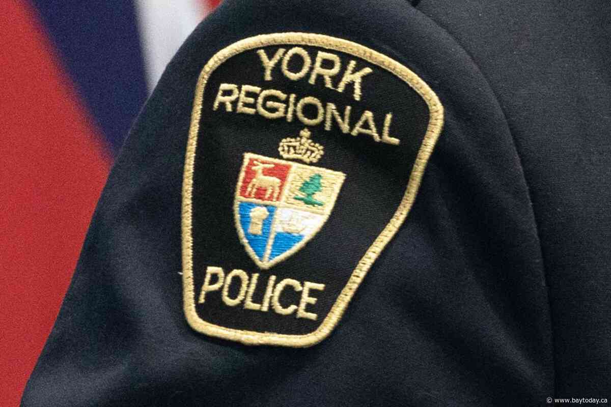 Man pleads guilty to criminal negligence in dog attack that injured girl: York police