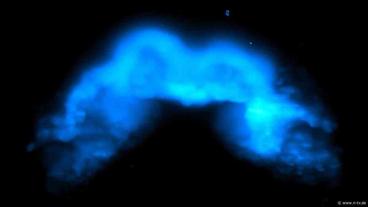 Zellen formieren sich im Embryo: Forscher filmen erstmals Entstehung eines Herzens