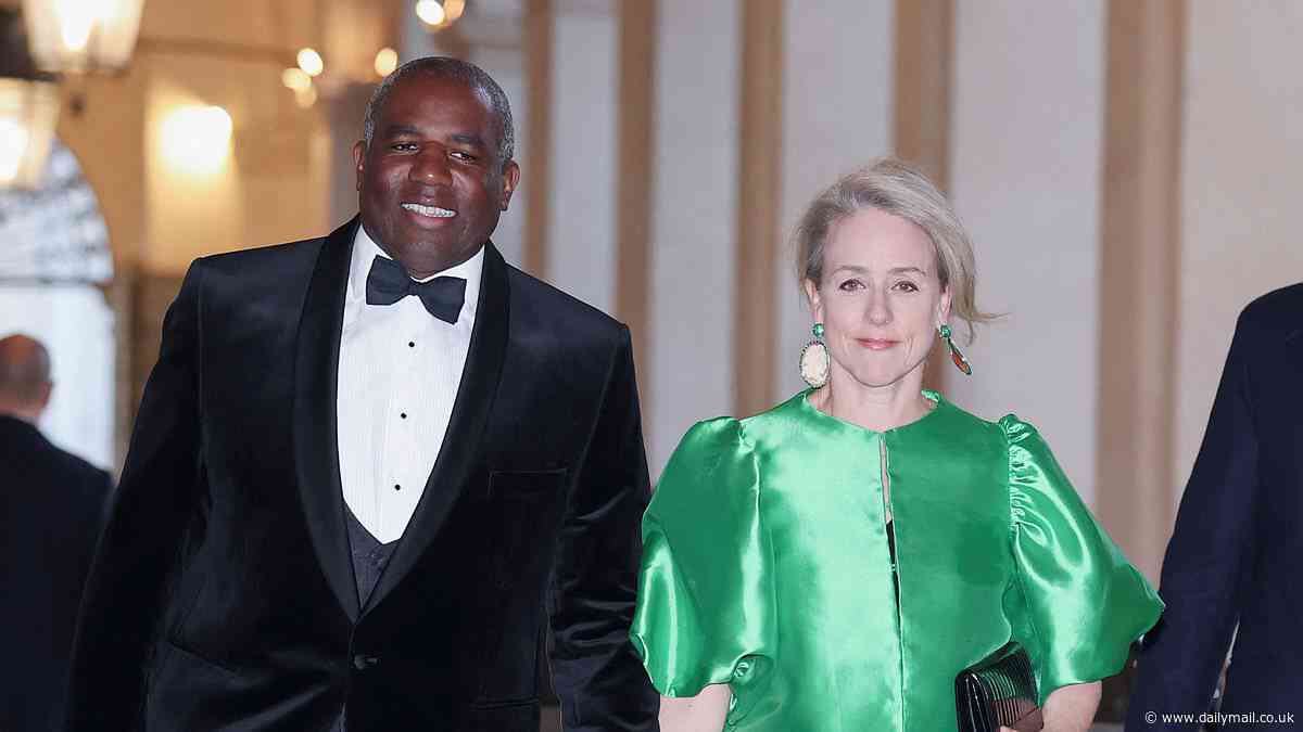 Taxi driver who claims he was 'assault victim' had 'intimidated David Lammy's wife with a KNIFE after demanding extra cash for taking the Foreign Secretary from Italy to French ski resort' 