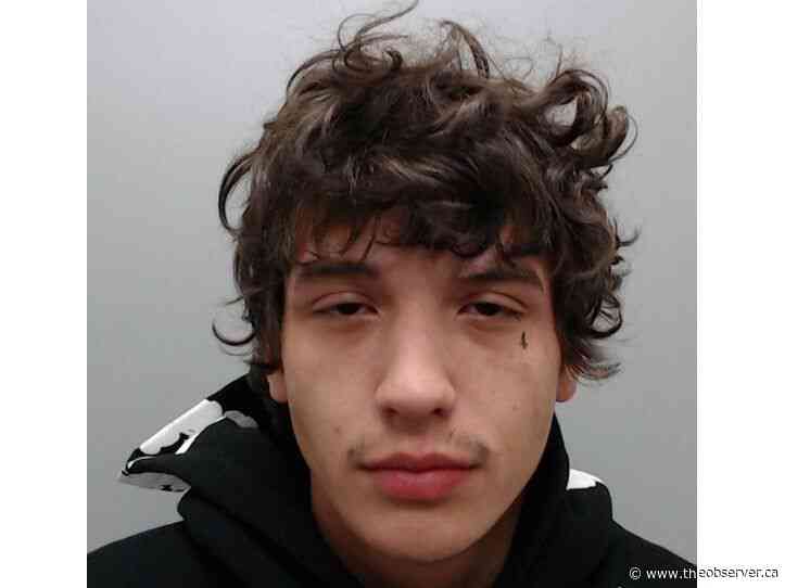 Homeless addict jailed 90 days for crime spree