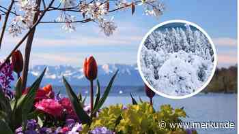 Von Sommerwetter zu Winter: Eisheilige schlagen in Bayern zu – und bringen Schnee