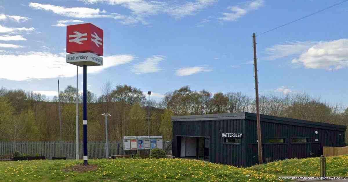 Terrified mum is threatened and has dog 'attacked' by teenage mob at train station