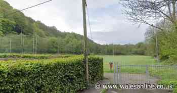 Welsh rugby team stripped of promotion and docked 10 points after WRU probe