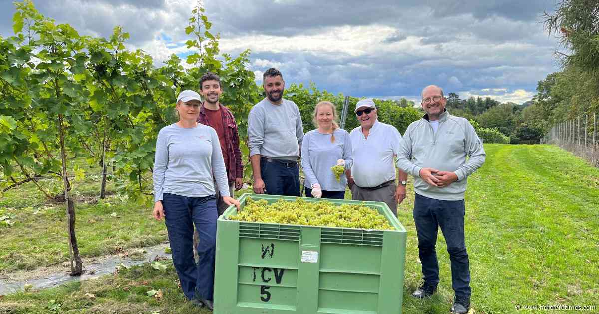 Vineyard to offer taste of county tours