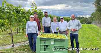 Vineyard to offer taste of county tours